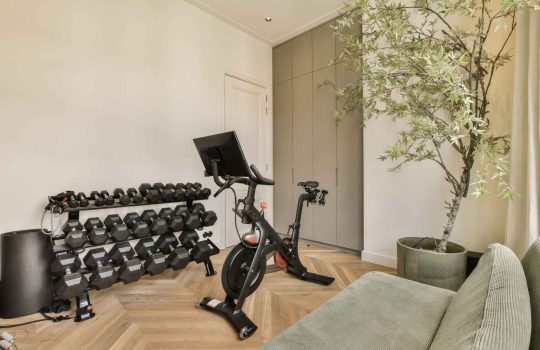 The Home Gym2